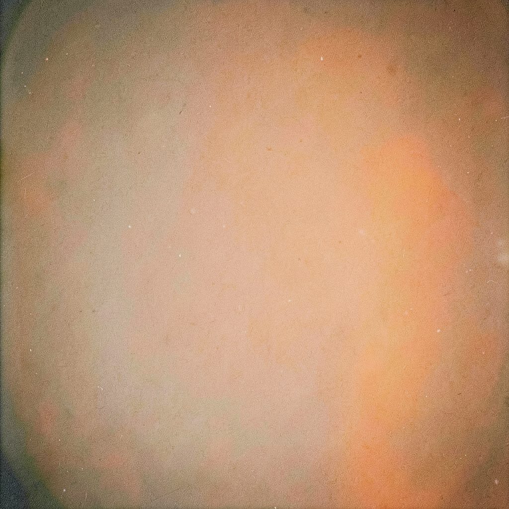 Small square grainy analog photograph of a community gathering scene, muted green tones